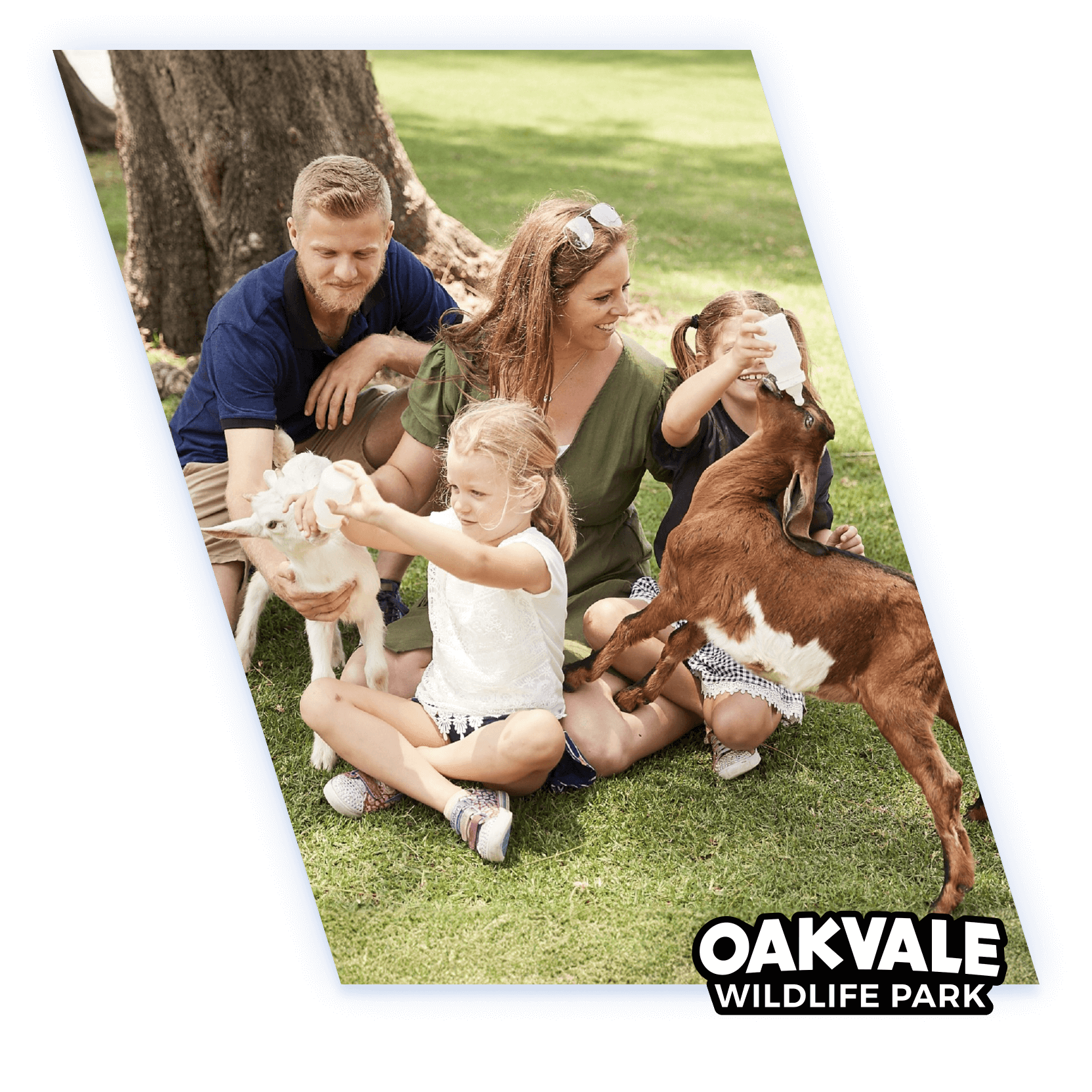 Elevate Trampoline Parks-1