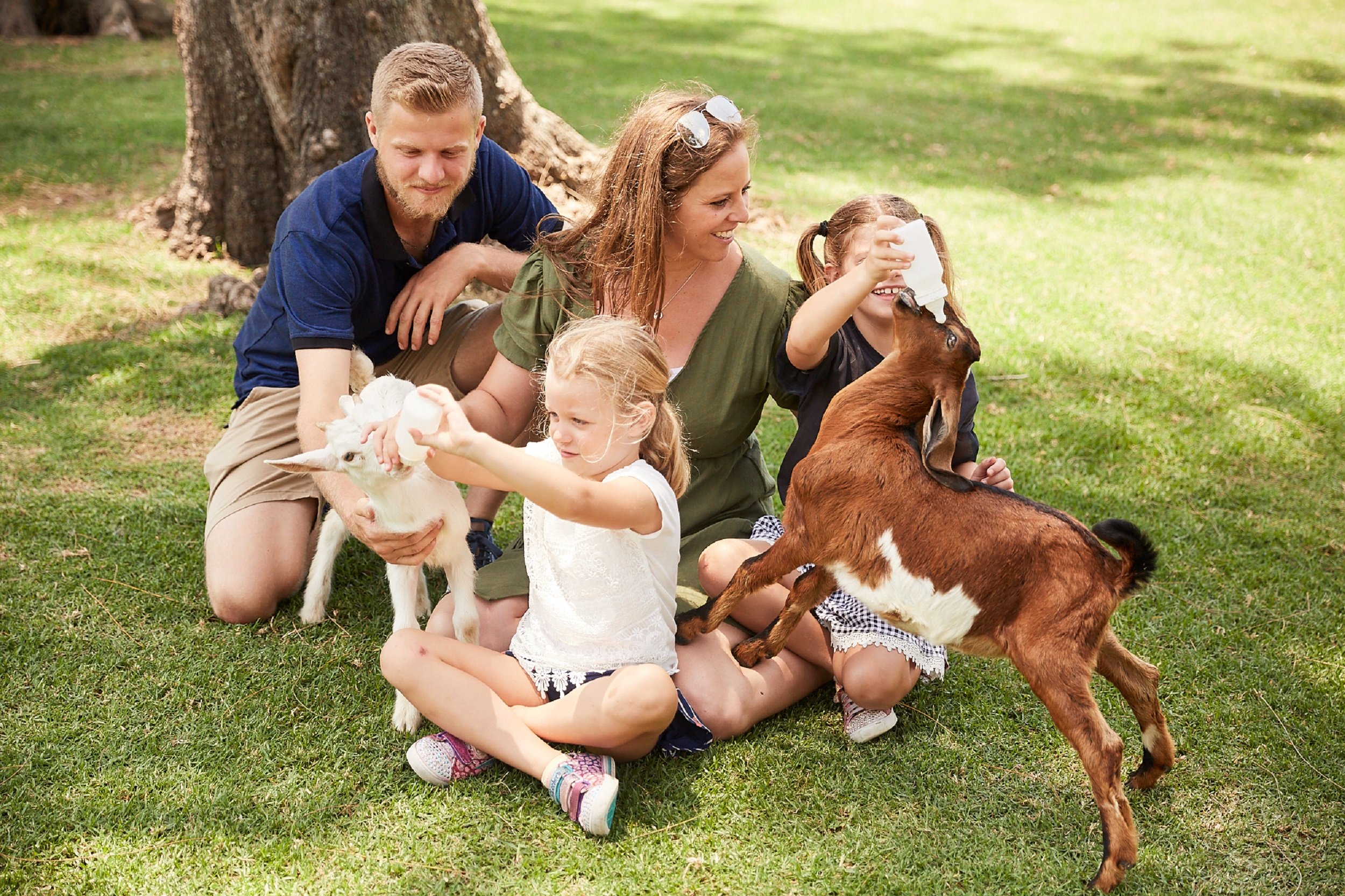 How Oakvale Wildlife Park Increased Animal Encounter Sales by 300% in Six Months