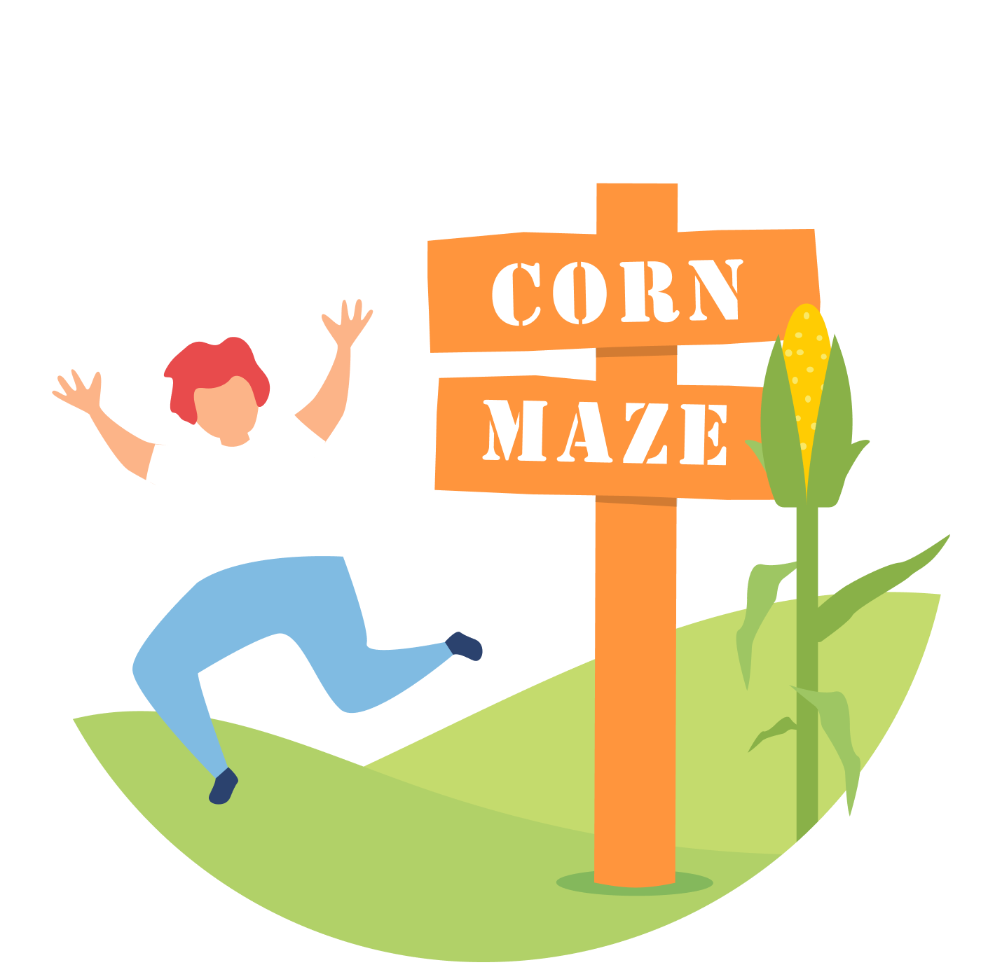 corn maze 1