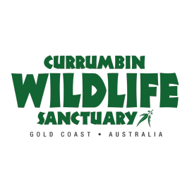 currumbin_wildlife_65x65