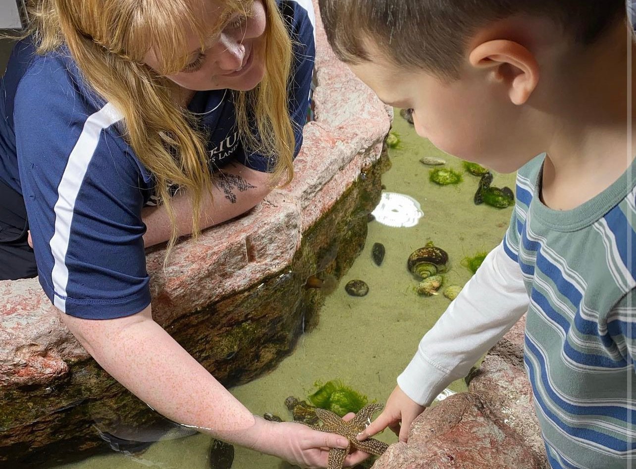 Aquatarium touch tank